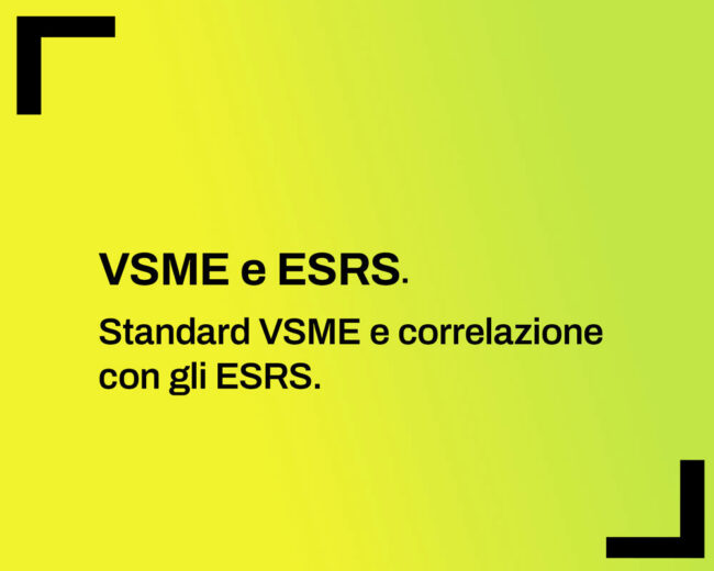standard europeri VSME ESRS